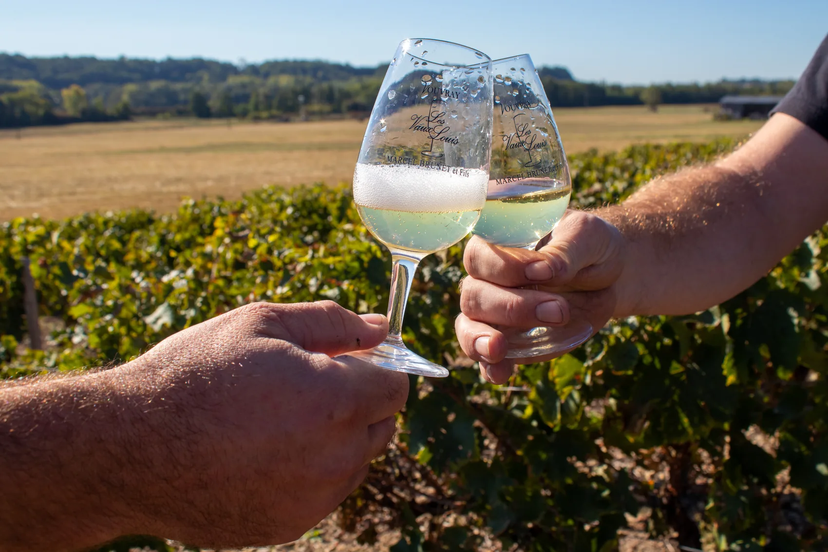 Thomas and Julien Brunet raising two engraved Les Vaux Louis glasses in front of the vines