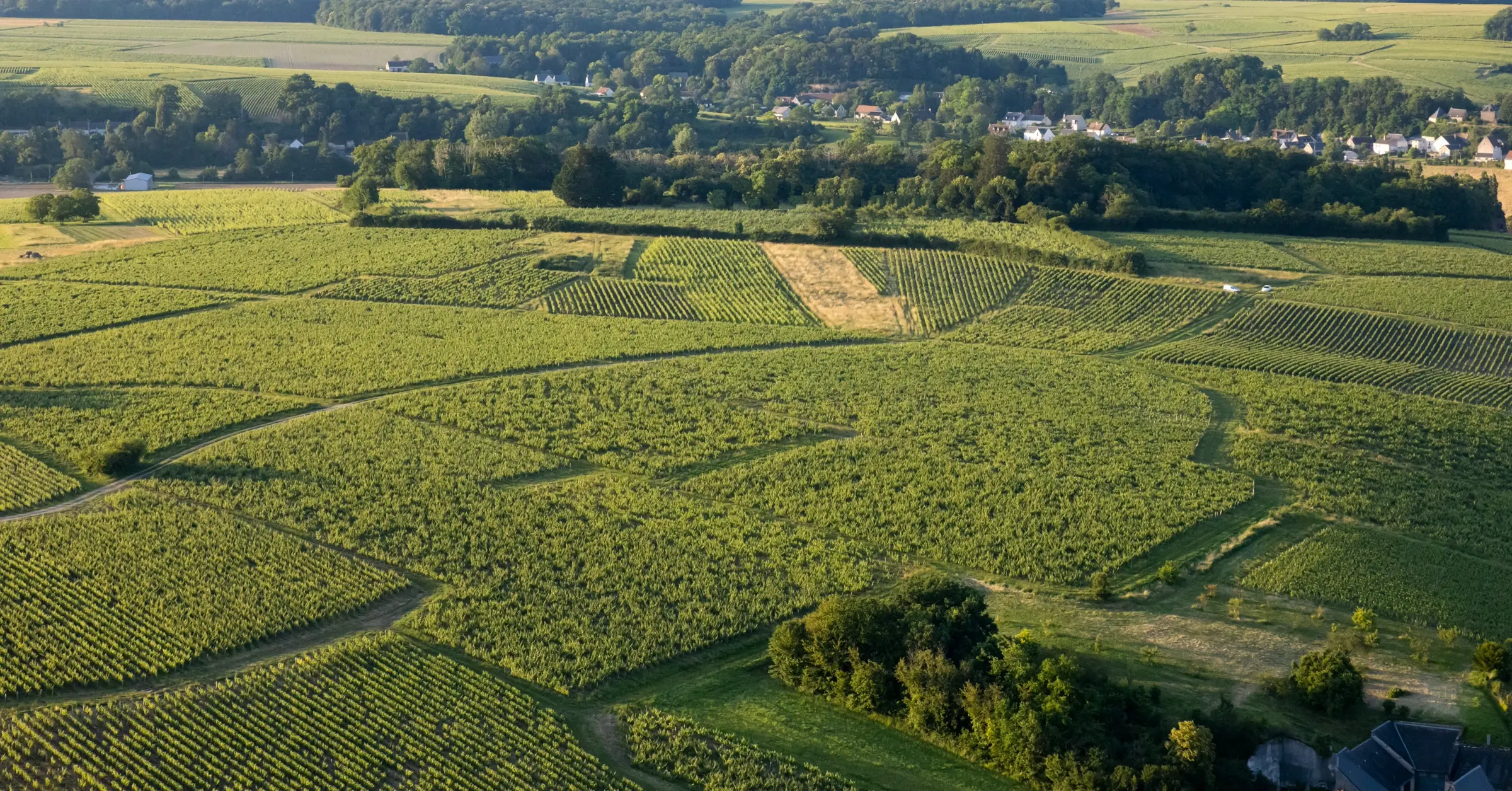 Aerial view of the Domaine Les Vaux Louis vineyards in Vouvray, Loire Valley