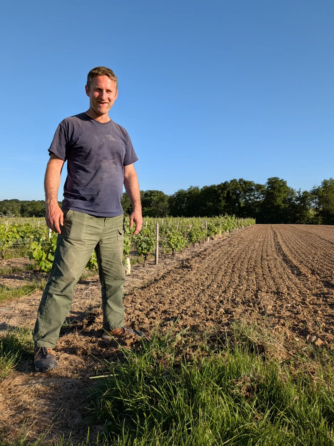 Thomas Brunet in a vine plot at Domaine Les Vaux Louis